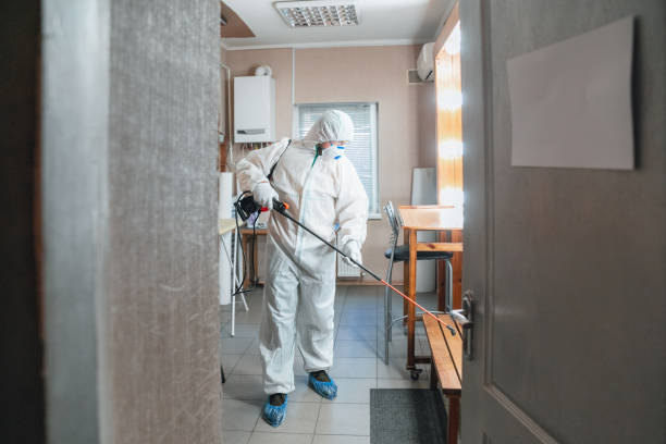 Best Real Estate Mold Inspection  in Wallingford Center, CT