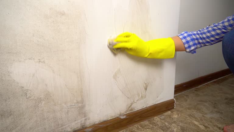 Best Mold Odor Removal Services  in Wallingford Center, CT